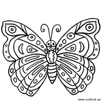Раскраски с насекомыми - красивая бабочка
