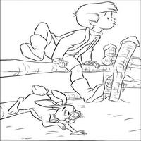 Раскраски с героями из мультфильма Винни-Пух (Winnie-the-Pooh) - перелезаем в огород