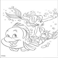 Раскраски с героями из мультфильма Русалочка (The Little Mermaid) - фландер себастьян русалочки