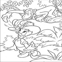 Раскраски с героями из мультфильма Дональд Дак (Donald Fauntleroy Duck) - обезьяна