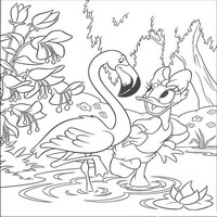 Раскраски с героями из мультфильма Дональд Дак (Donald Fauntleroy Duck) - фоаминго