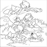 Раскраски с героями из мультфильма Дональд Дак (Donald Fauntleroy Duck) - купание
