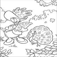 Раскраски с героями из мультфильма Дональд Дак (Donald Fauntleroy Duck) - павлин
