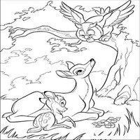 Раскраски с героями из мультфильма Бемби (Bambi) - филин говорит с мамой
