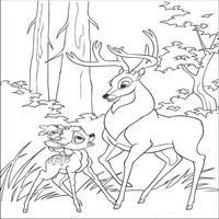 Раскраски с героями из мультфильма Бемби 2 (Bambi 2) - совет