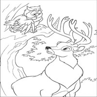 Раскраски с героями из мультфильма Бемби 2 (Bambi 2) - разговор с филином