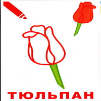 Раскраски для малышей - тюльпан