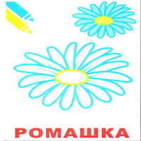 Раскраски для малышей - ромашка