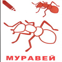 Раскраски для малышей - муравей