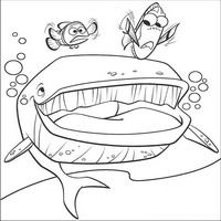 Раскраски с героями из мультфильма В поисках Немо (Finding Nemo) - кит