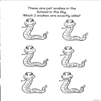 Dragon Tales