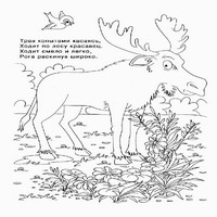 загадки
