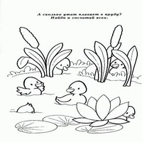 загадки