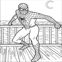 Раскраски с Человеком-пауком (Spider-Man) - Человек Паук ночью